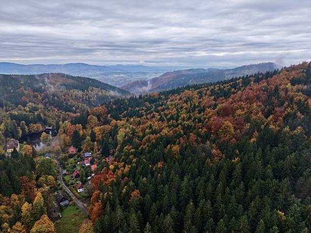 istock high altitude shot capturing lush forest canyon adorned with fall colors and surrounding mist 2248964873
