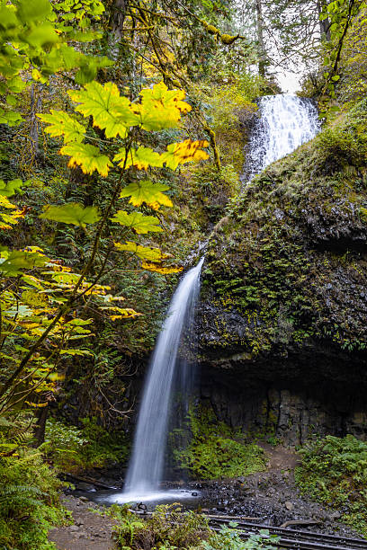 istock Spectacular Latourell Falls: Columnar Basalt Cliff in Columbia River Gorge 2248965222