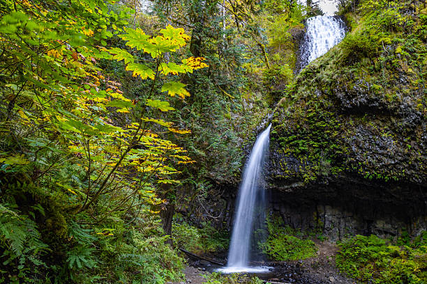 istock Spectacular Latourell Falls: Columnar Basalt Cliff in Columbia River Gorge 2248965223