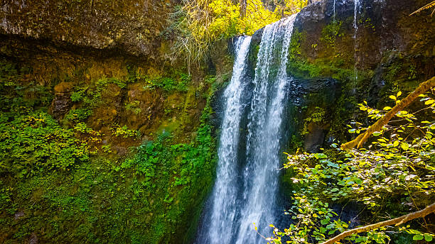 istock Enchanting Elowah Falls at Columbia River Gorge Scenic Area 2248965231
