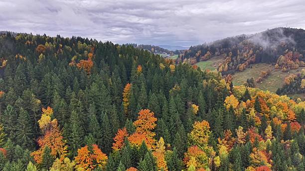 istock Serene countryside scene with hikers amidst fall foliage and mist 2248965368