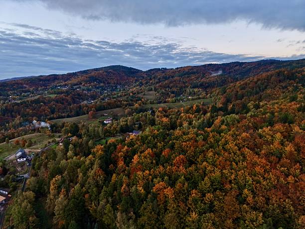 istock peaceful panoramic aerial perspective capturing autumnal forest canopy with distant horizons and gentle clouds 2248965385