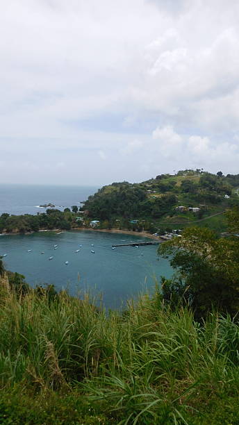 istock Stunning Coastal View Showcasing Lush Greenery and Serene Waters in a Tranquil Bay During a Cloudy Day 2248966399