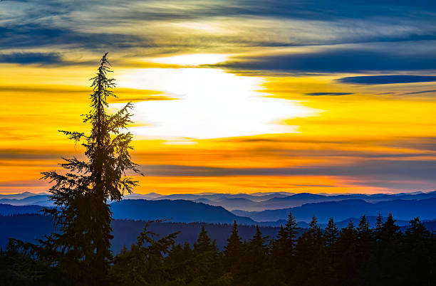 istock Scenic Panoramic View of Mountain Range in Oregon at Vibrant Sunset 2248966472