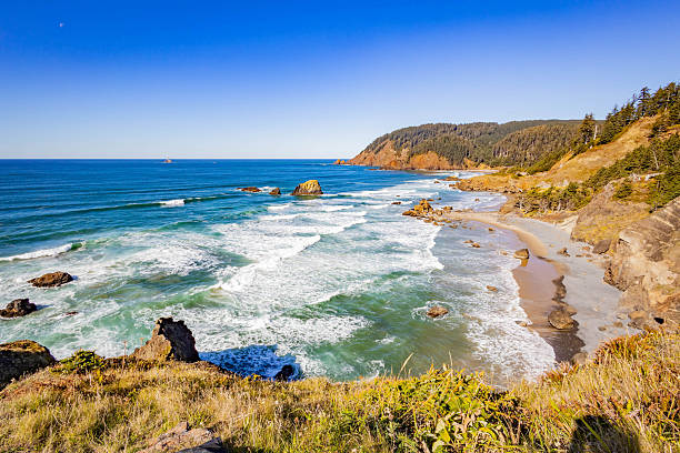 istock Beautiful Ocean Shore View at Ecola State Park, Oregon 2248967227