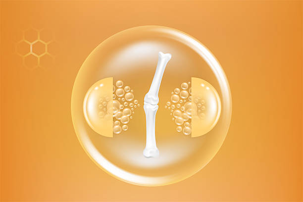 istock Bone and joint solutions ad, gold collagen with cosmetic advertising background ready to use, illustration vector. 2248968601