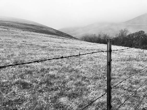 istock Foggy rural landscape 2248973037