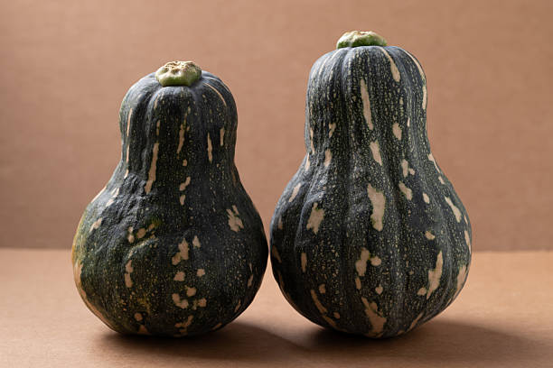 istock Green butternut squash pumpkin on brown background 2248975199