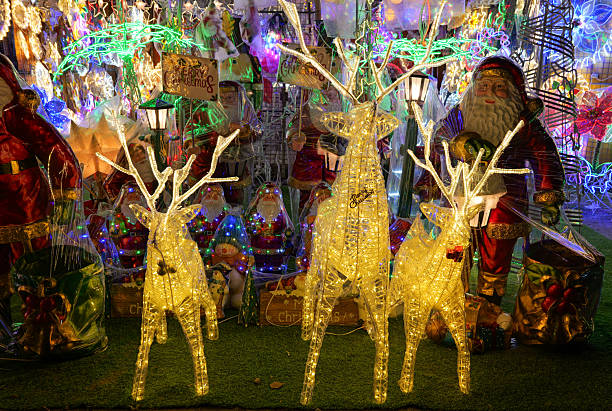 istock LED Reindeer and Floral Christmas Lantern Decorations 2248976913