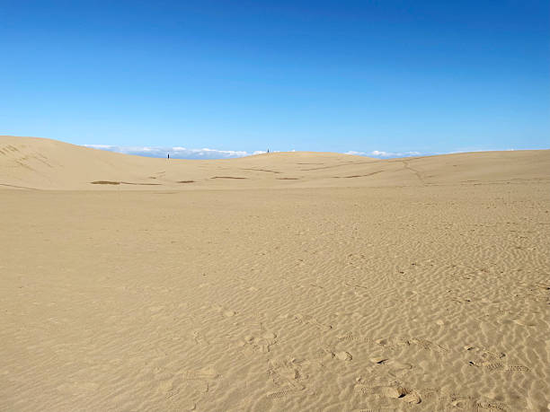 istock Tottori Sand Dunes in Winter, Japan 2248977135