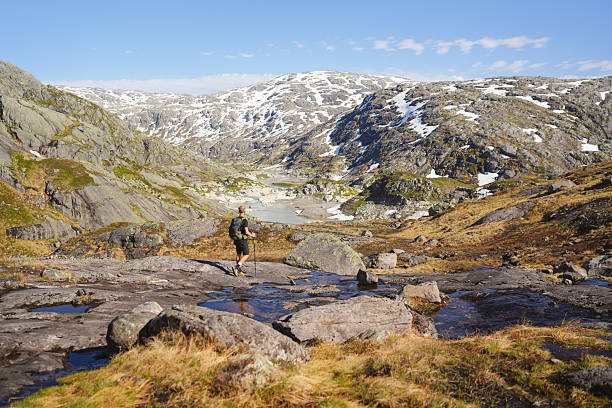 istock Young man hikes along stream in mountain meadow 2248978074