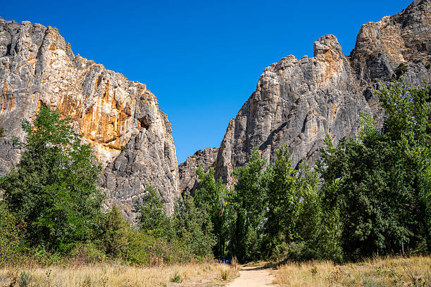 Dirt path winding through the valley floor, framed by towering rock formations and green trees under a clear blue sky, inviting exploration and adventure in a natural landscape
