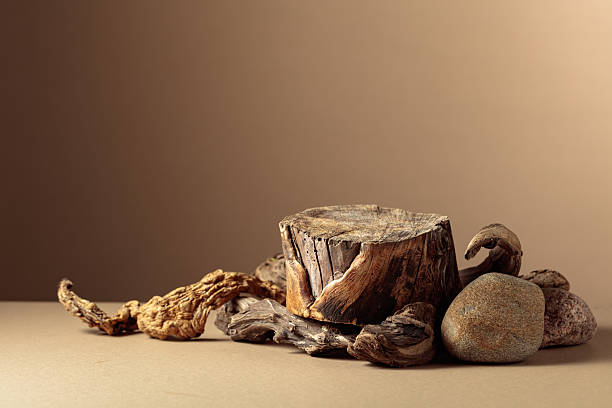 istock Composition with natural wooden snags on a beige background. 2248983627