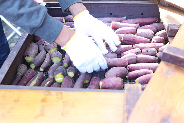 istock Man making roasted sweet potatoes 2248988206