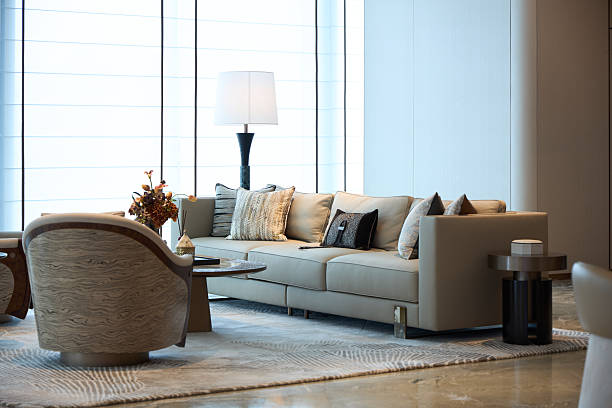 istock Leather sofa in living room 2248988548