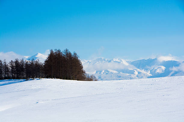 istock Snowfields and mountains on a sunny winter day 2248990096