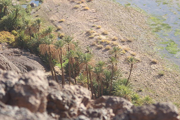 Morocco, Anti Atlas, palm plantation of the Tata oasis at the foot of the Anti Atlas Mountains