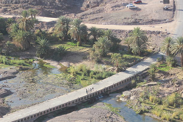 Fint Oasis in Ouarzazate