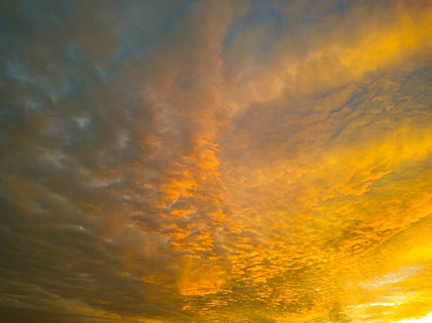 A stunning, high-contrast sky texture captured during the golden hour. Intense yellow, orange, and fiery gold sunlight illuminates dense, textured altocumulus clouds, contrasting sharply with the deep blue and gray tones of the receding twilight sky. Perfect for backgrounds or overlay.