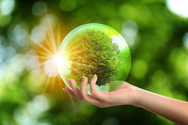 istock Save Earth. Woman holding crystal ball with green tree inside outdoors, closeup 2248994167