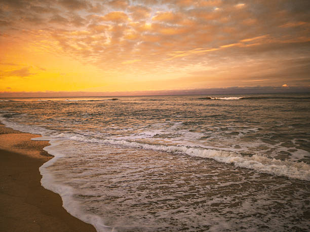 A stunning sunrise paints the sky in vibrant golden, orange, and amber hues above a churning ocean. Gentle waves break onto the sandy shore, creating white foam. A warm, peaceful nature scene perfect for backgrounds.