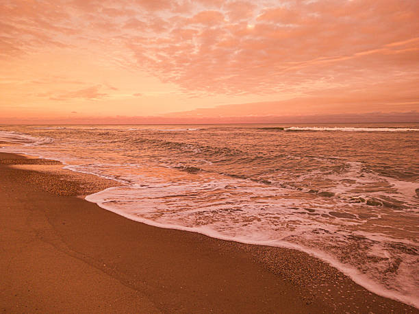 Breathtaking monochromatic sunset over a tranquil ocean beach. The sky, water, and sand are drenched in intense orange and peach tones. Gentle waves roll ashore, leaving frothy white surf. Perfect for nature and relaxation concepts.