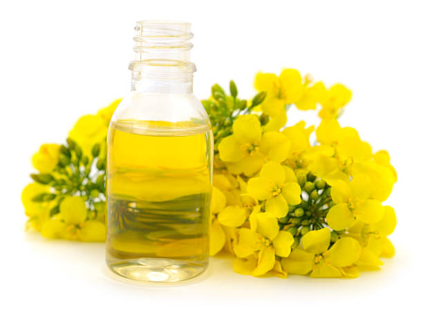 istock Rapeseed flowers and rapeseed oil bottle isolated on white 2248995961