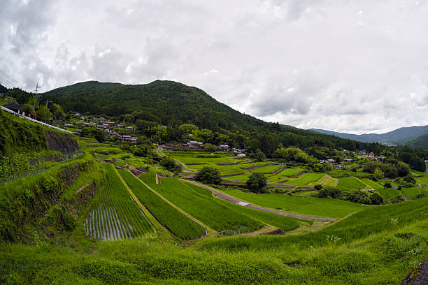 istock terraced rice fields nearby mountain area under cloudy sky 2249000428