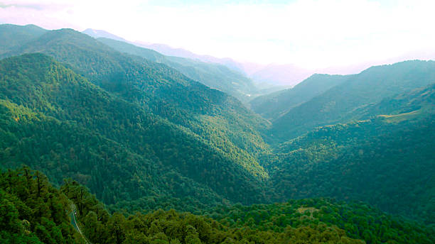 istock Aerial drone green tree covered Himalaya mountains with rays of light falling on them and golden haze in the distance showing the beauty of Chopta Tungnath 2249006813