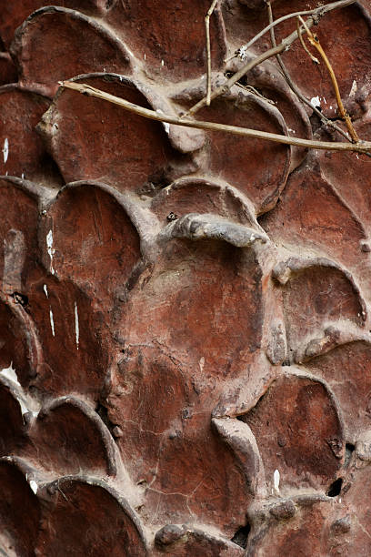 red fancy mouled wall with dead twigs