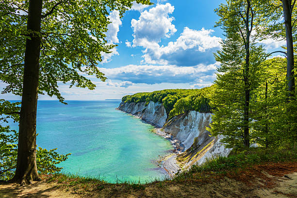 White cliffs on the Baltic Sea coast on the island Ruegen, Germany