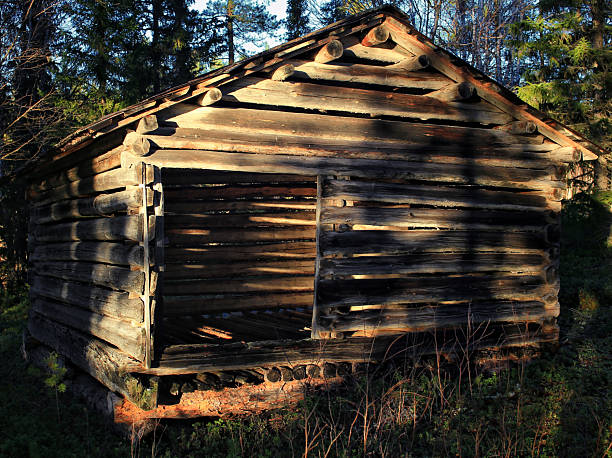Wooden log hut in Sweden lit by low forest sunlight showing rustic craftsmanship and texture.