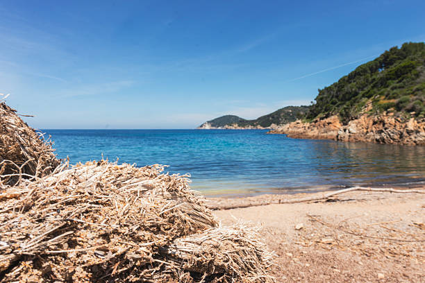High angle view of Limaia beach (Elba Island, Italy). A rope on the foreground.