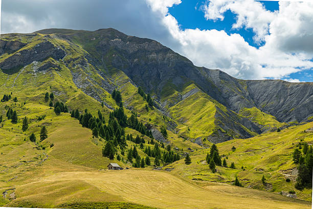 Green and gold mountain pastures under a summer sky in the Alpes de Haute Provence