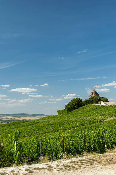 istock Verzenay windmill overlooking green Champagne vineyards 2249022074