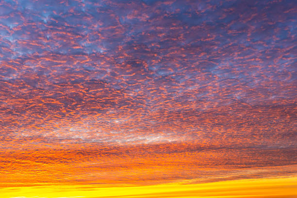 Altocumulus blue, pink, orange clouds at morning twilight. Texture, background.