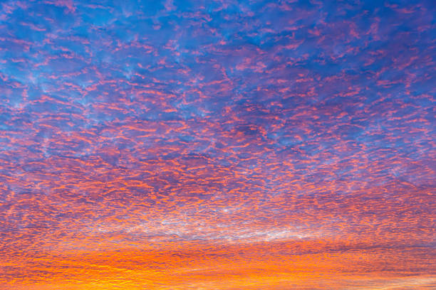 istock Altocumulus blue, pink, orange clouds at twilight. Texture, background. 2249023551