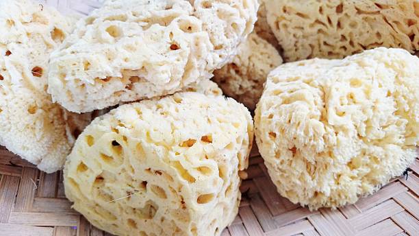 Soft natural sea sponges.