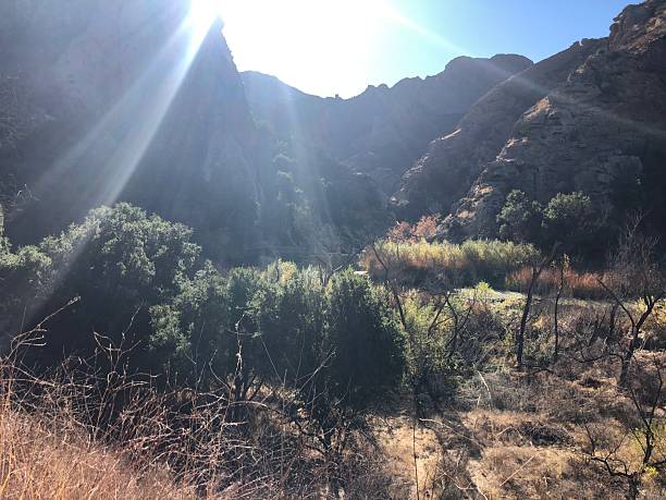 istock Sunlight Filters Through Rugged Mountains, Illuminating Vibrant Greenery in a Serene Valley During a Quiet Afternoon 2249030199