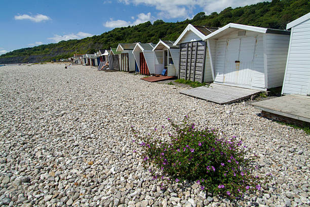 Dorset - England Beach huts Lyme Regis, Dorset, The Under Cliff beach huts (1) United Kingdom 2025