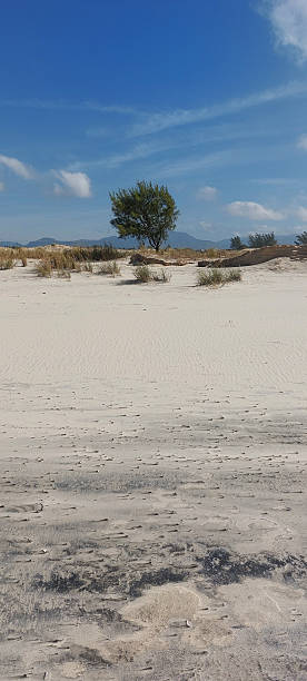 istock white sand dunes composed of gypsum crystals. 2249034670