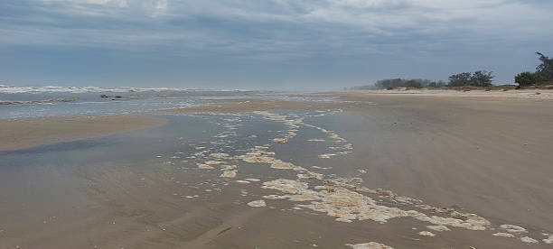 istock View of the beach at low tide 2249034682