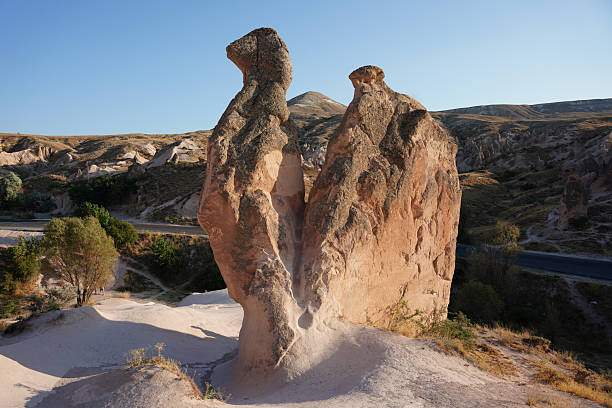 Camel Shaped Rock Formation in Devrent Valley, Cappadocia, Nevsehir City, Turkiye
