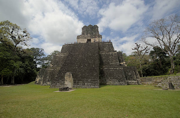 Mayan temples rising over green canopy