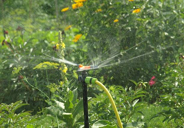 istock Garden rotary sprinkler 2249036985