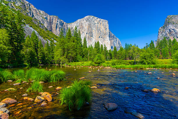 istock Merced River at Yosemite National Park 2249039183