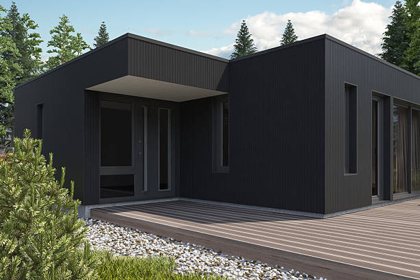 istock Scandinavian Modern Villa or Weekend House with Black Wood Paneling Facade 2249039498