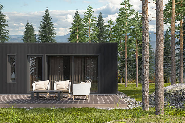 istock Scandinavian Modern Villa or Weekend House with Black Wood Paneling Facade 2249039535