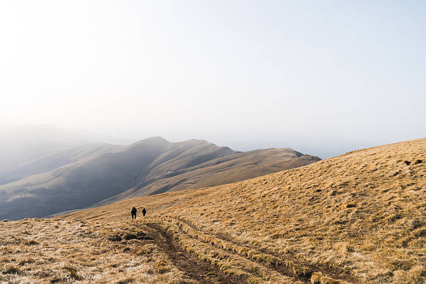 Hikers walking on the yellow grass path in the autumn