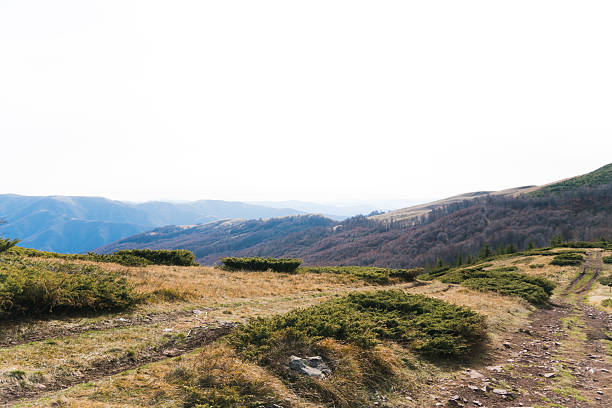 Autumn grassy path with mountains in the back